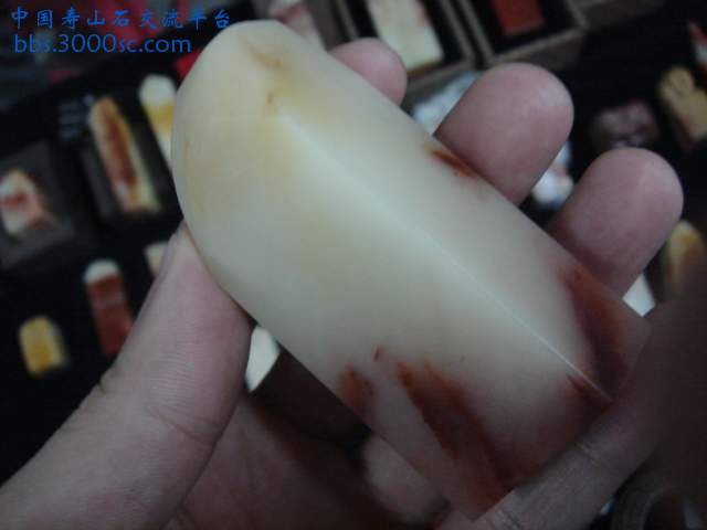 DSC08895.JPG
