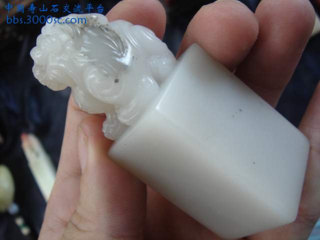 DSC08980.JPG