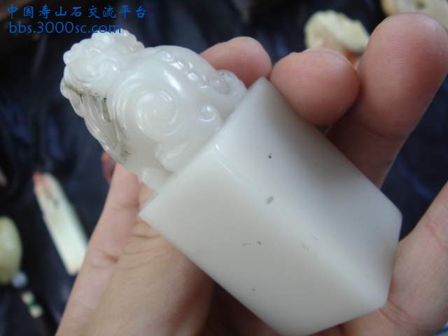DSC08981.JPG