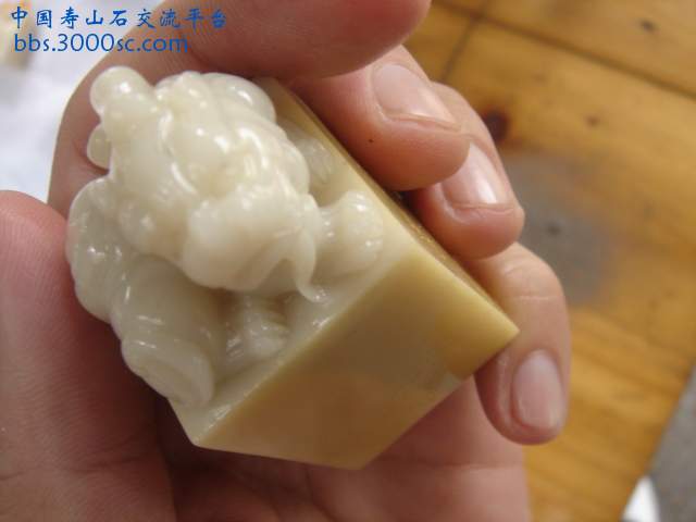 DSC08987.JPG
