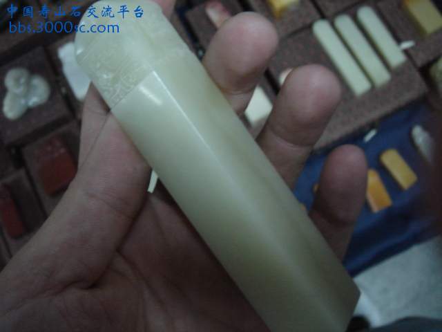 DSC08904.JPG