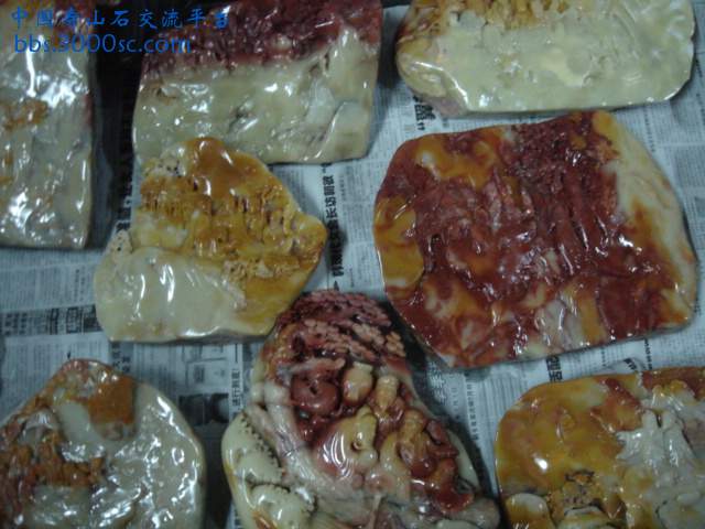 DSC08907.JPG
