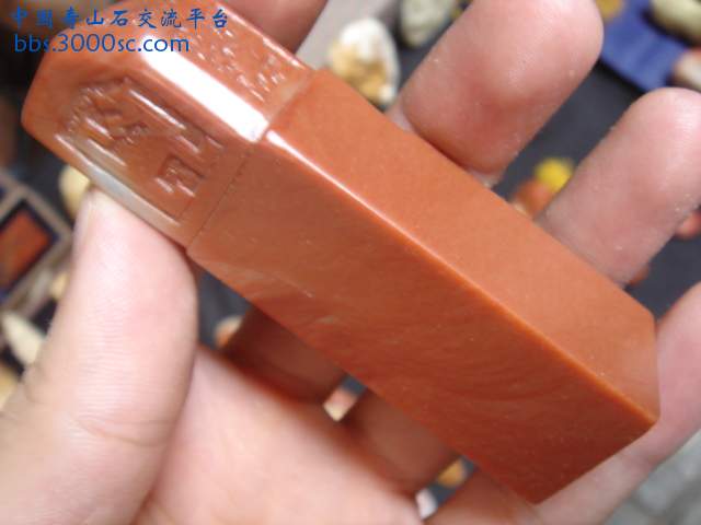 DSC08910.JPG
