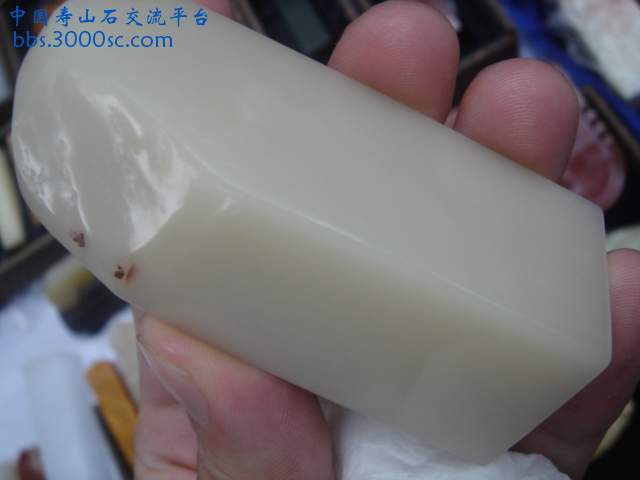 DSC08996.JPG