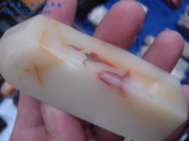 DSC08999.JPG