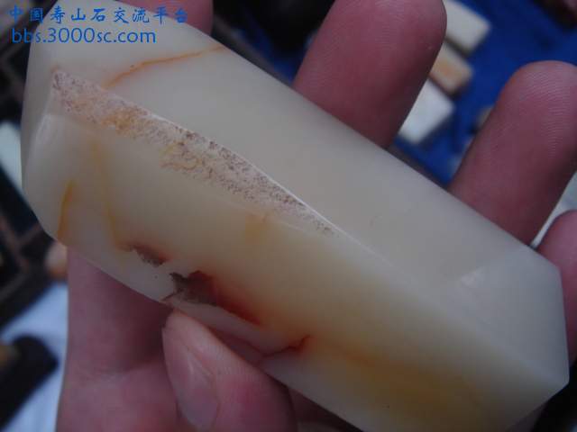 DSC08998.JPG