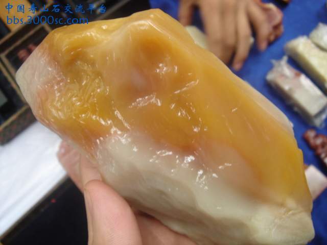 DSC09000.JPG