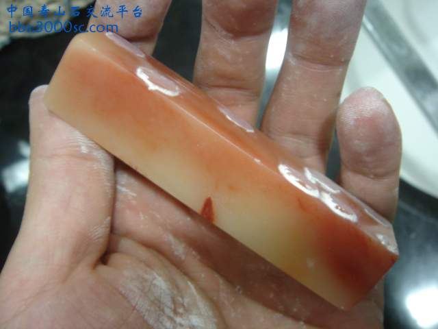 DSC09045.JPG