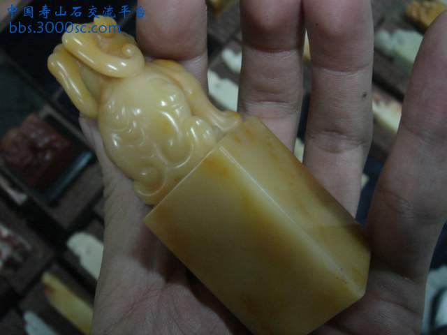 DSC09106.JPG