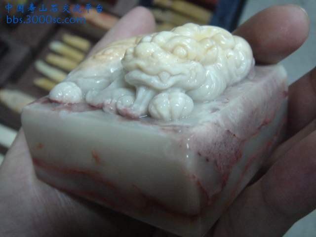 DSC09110.JPG