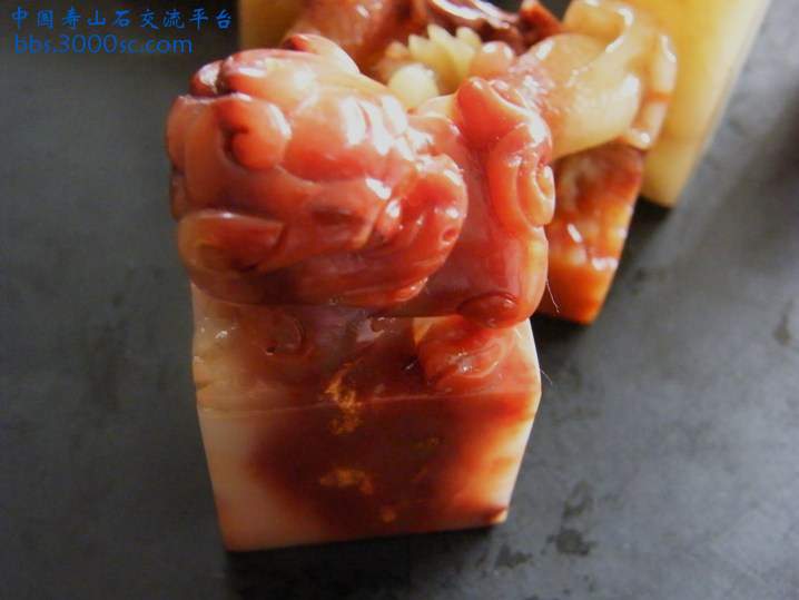 DSCF1455.JPG