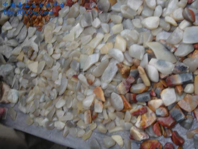 DSC09372.JPG