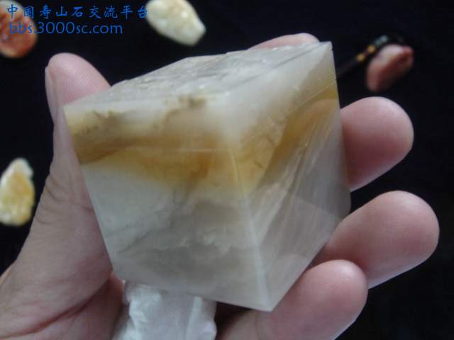 DSC09373.JPG