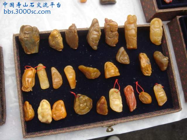 DSC09374.JPG