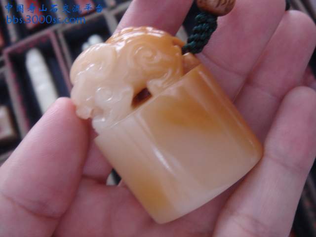 DSC09381.JPG