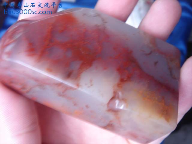 DSC09383.JPG
