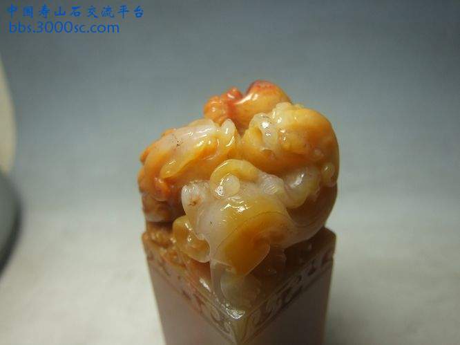 照片 005.jpg