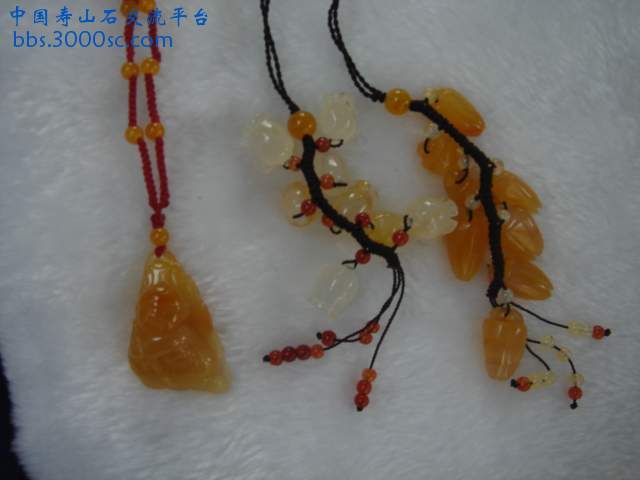 DSC09534.JPG