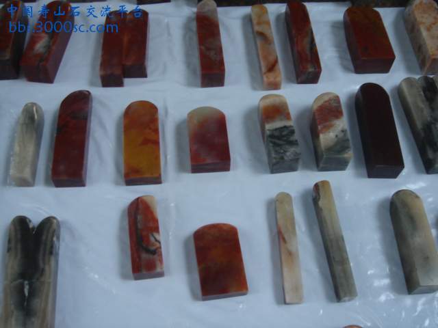 DSC09539.JPG