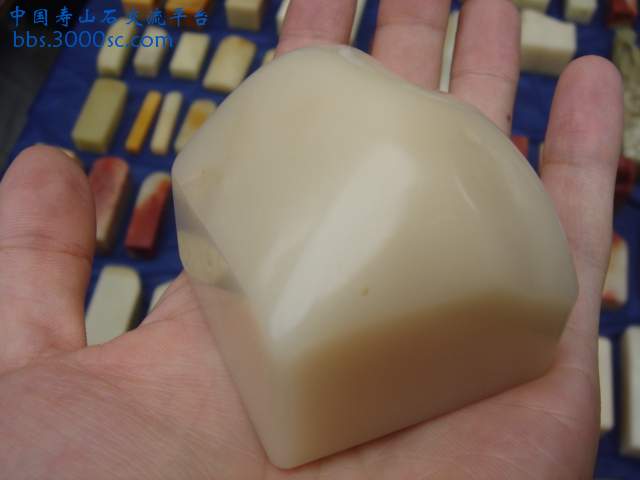 DSC09541.JPG