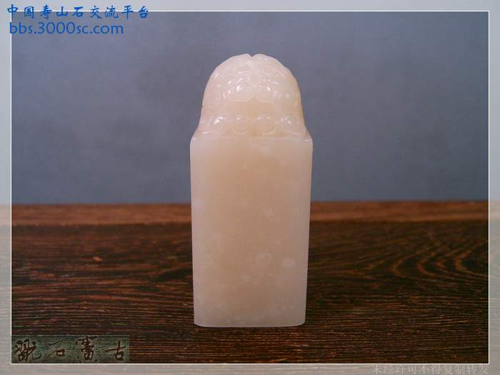 SUC37330.jpg