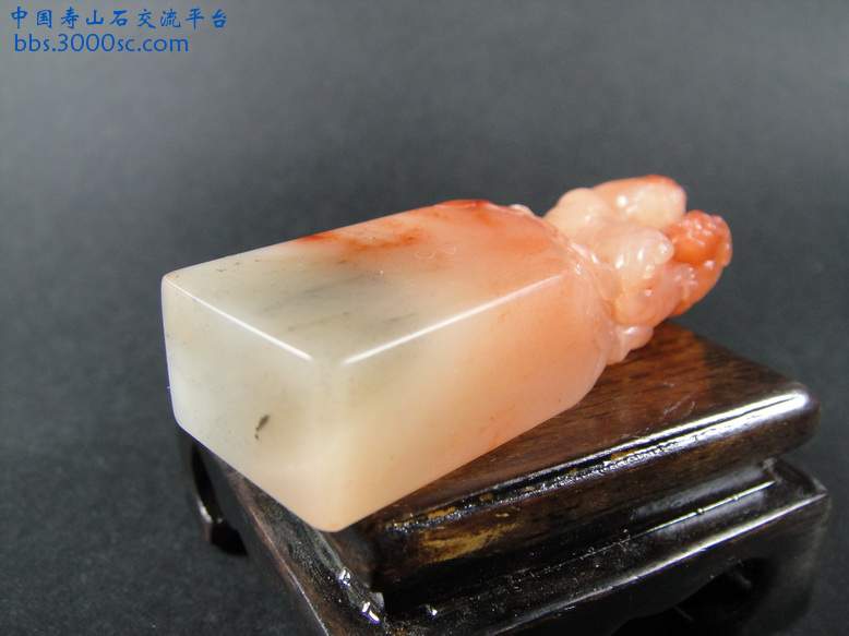 DSC00867_调整大小.JPG