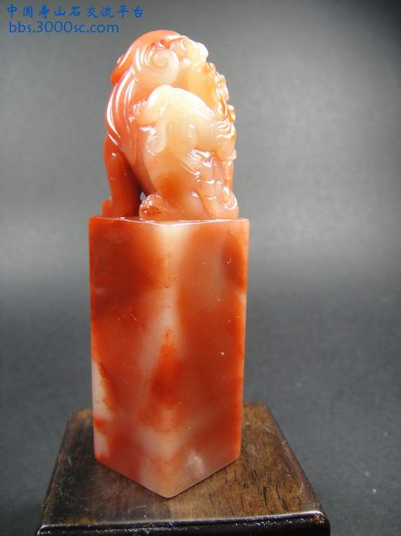 DSC00814_调整大小.JPG