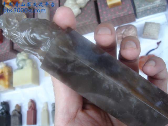DSC09780.JPG
