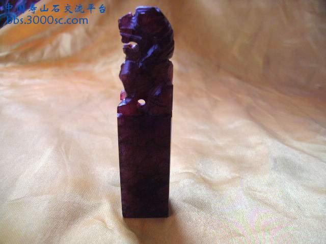 PICT0312.JPG
