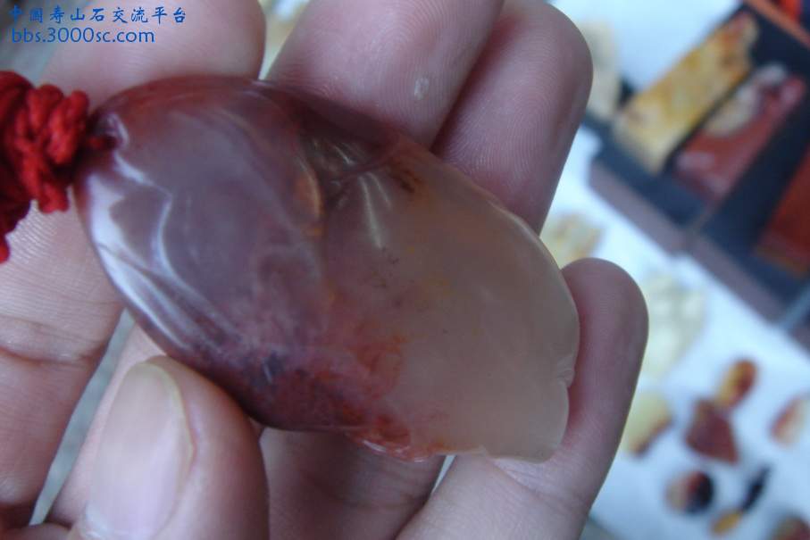 DSC09810_调整大小.JPG