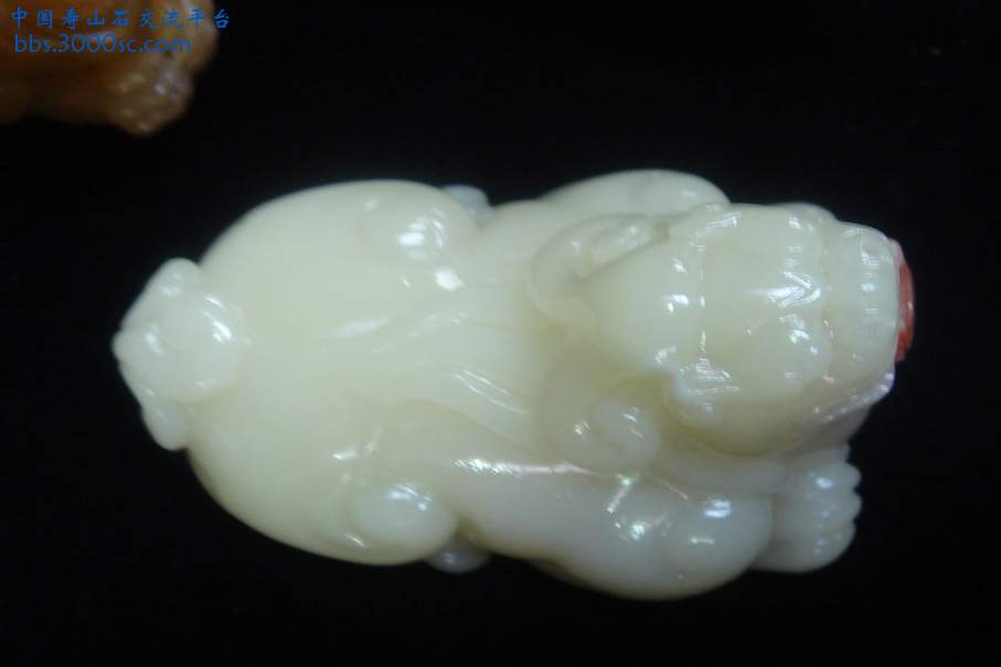 DSC09818_调整大小.JPG