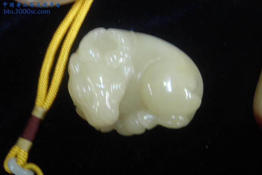 DSC09817_调整大小.JPG