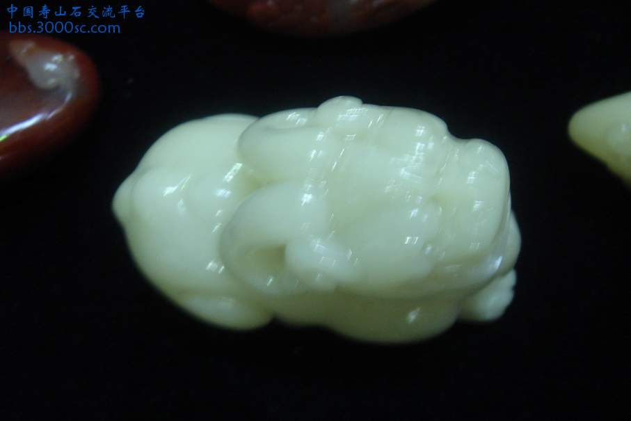 DSC09819_调整大小.JPG