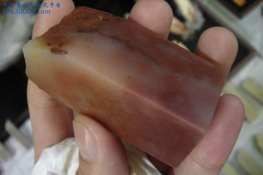 DSC09825_调整大小.JPG