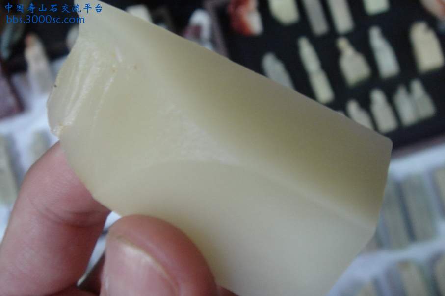 DSC09827_调整大小.JPG