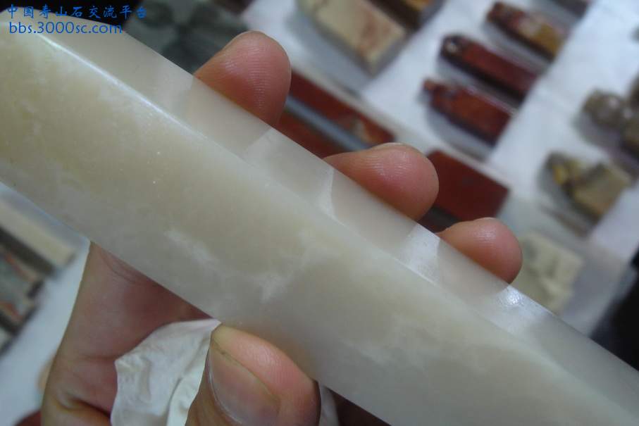 DSC09830_调整大小.JPG