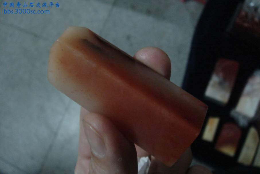 DSC09833_调整大小.JPG