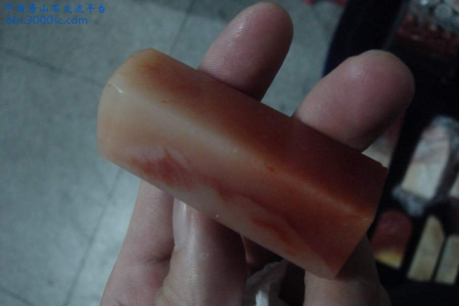DSC09834_调整大小.JPG