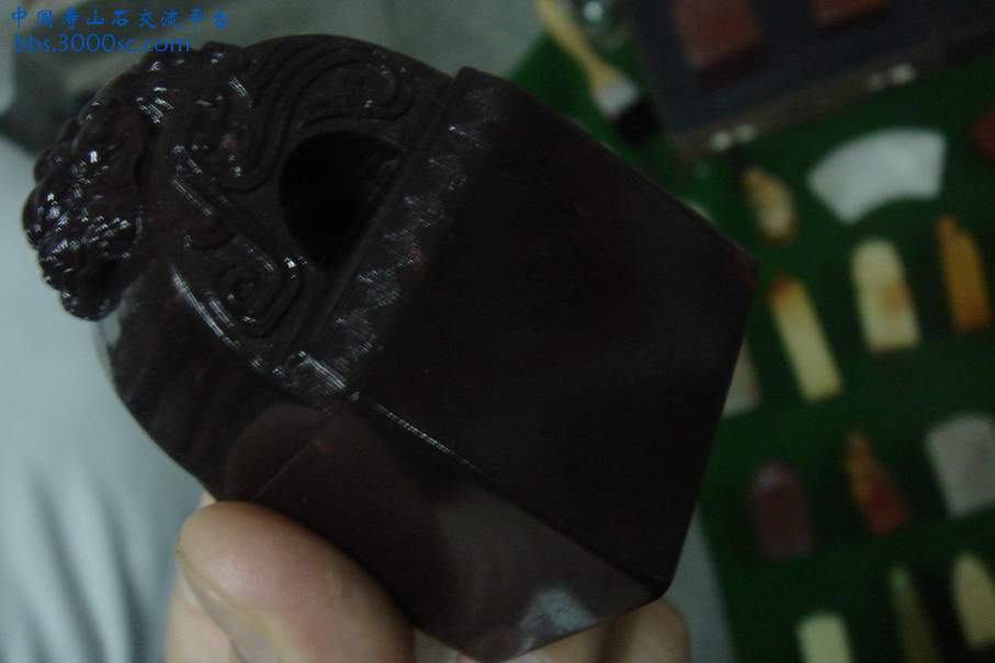 DSC09836_调整大小.JPG