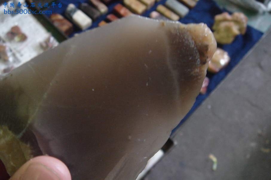 DSC09838_调整大小.JPG