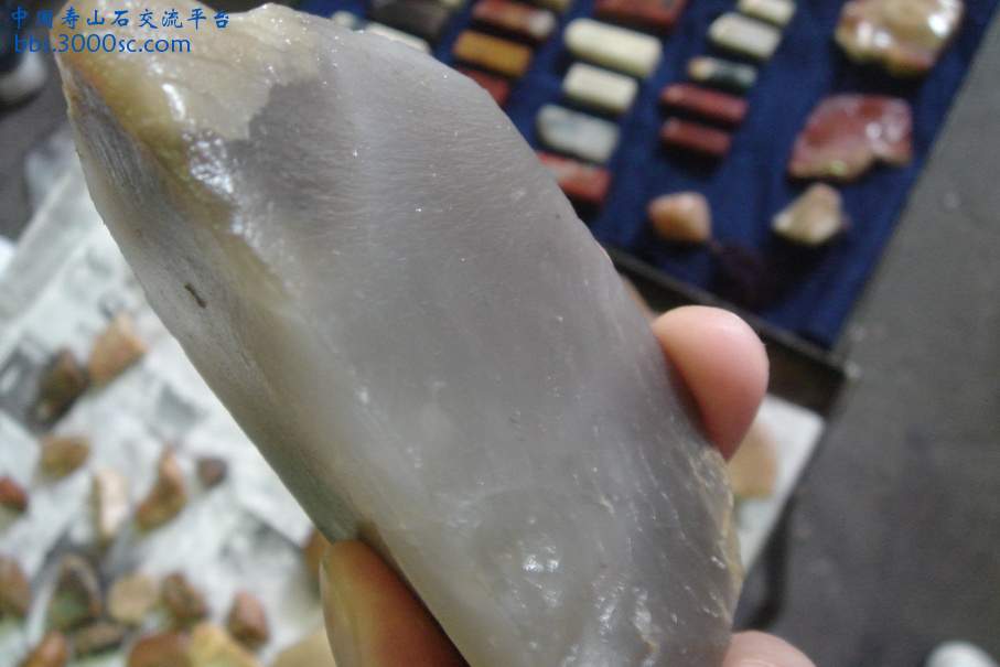DSC09839_调整大小.JPG