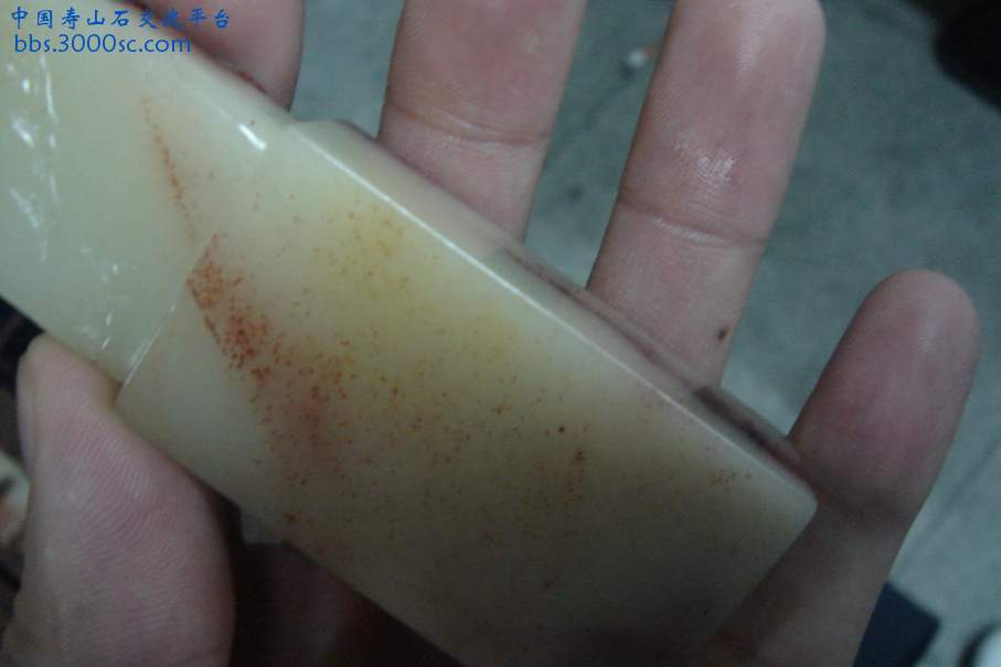 DSC09847_调整大小.JPG