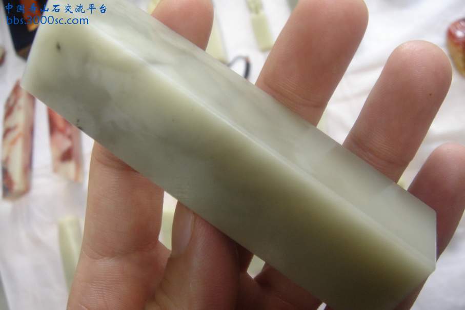 DSC09911_调整大小.JPG