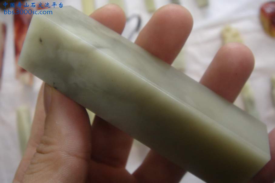 DSC09912_调整大小.JPG