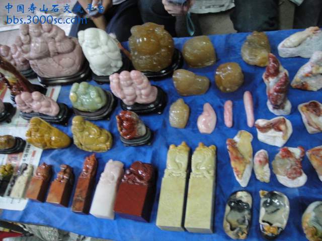 DSC00925.JPG