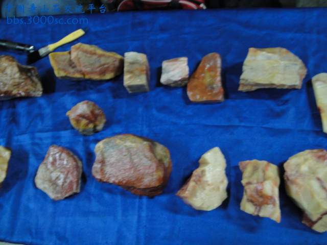 DSC00933.JPG