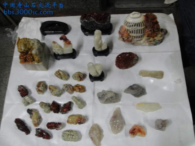 DSC00937.JPG