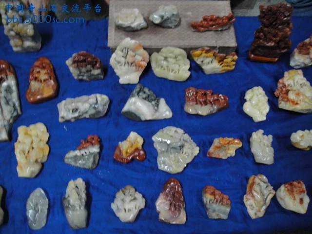 DSC00938.JPG