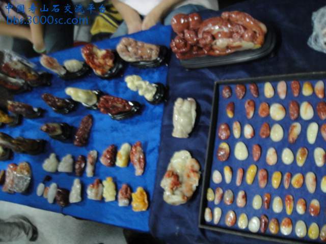 DSC00942.JPG