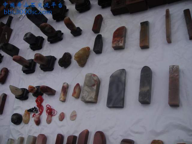DSC01330.JPG
